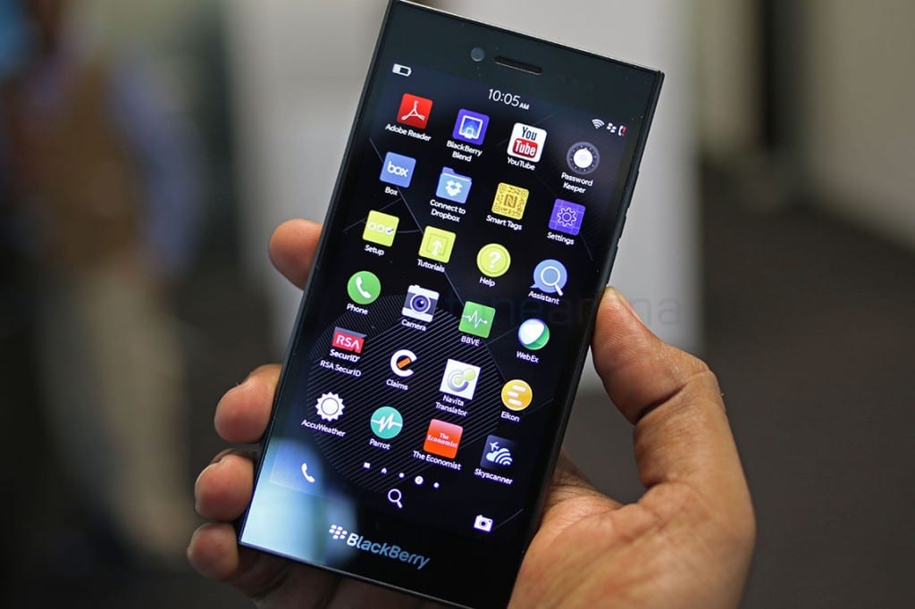 Blackberry-Leap-1024x682.jpg