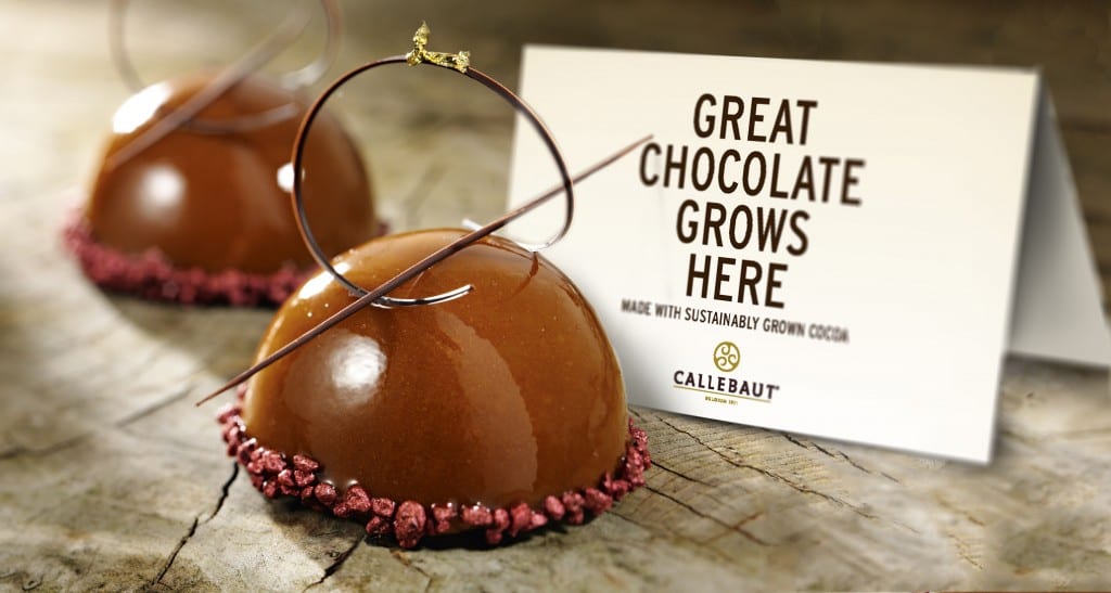 callebaut-1024x547.jpg