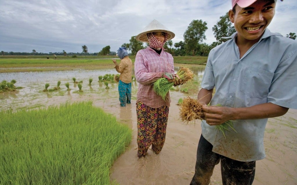 rice-farmers-cambodia-ogb-46426_1220x763-1024x640.jpg