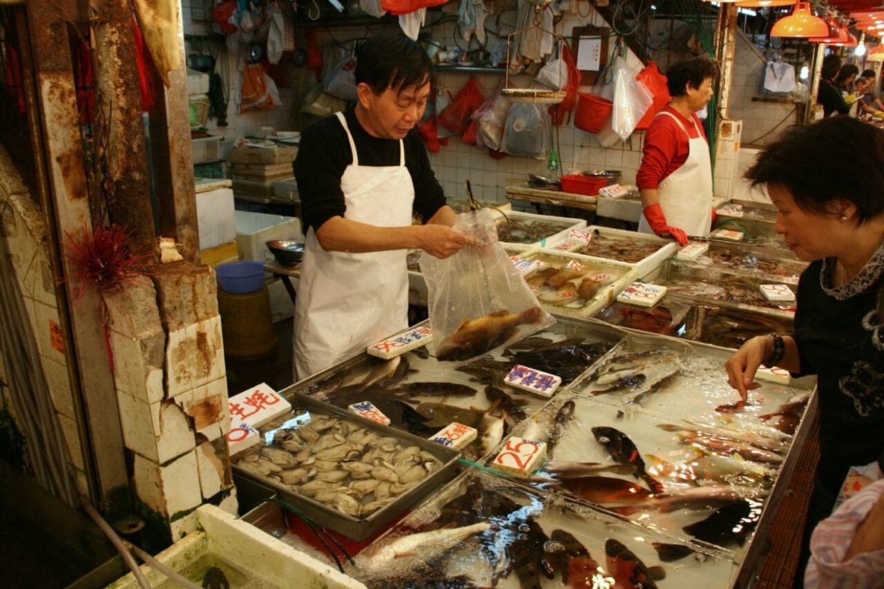 hongkong fish fishmarket 3284121 o