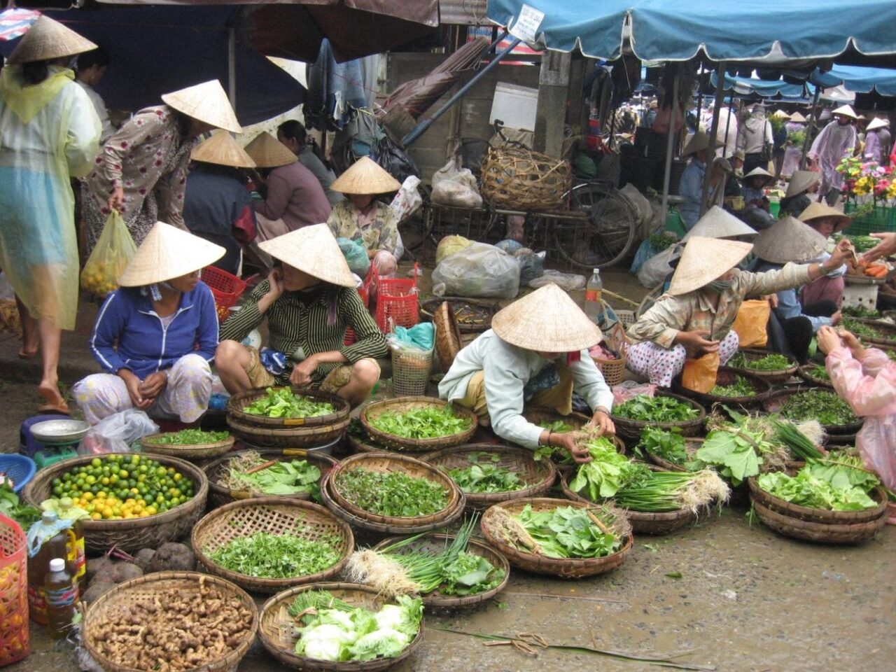 vietnam038