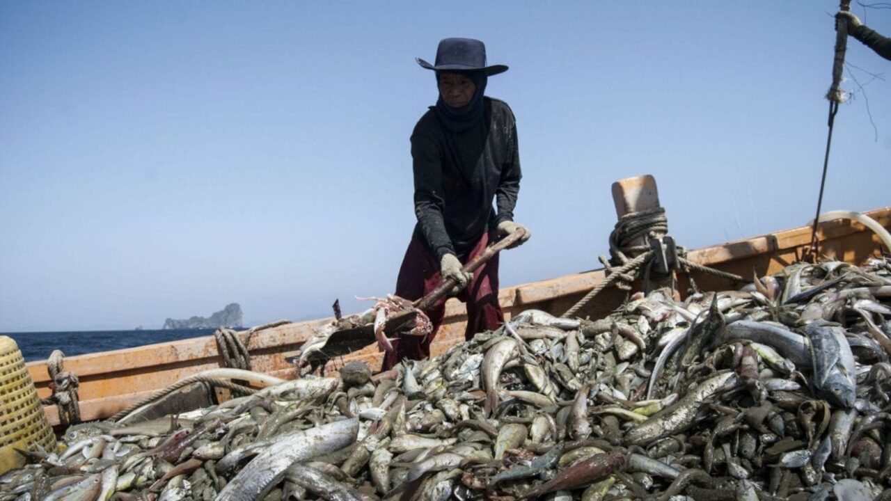 thailand fishing slave 16x9