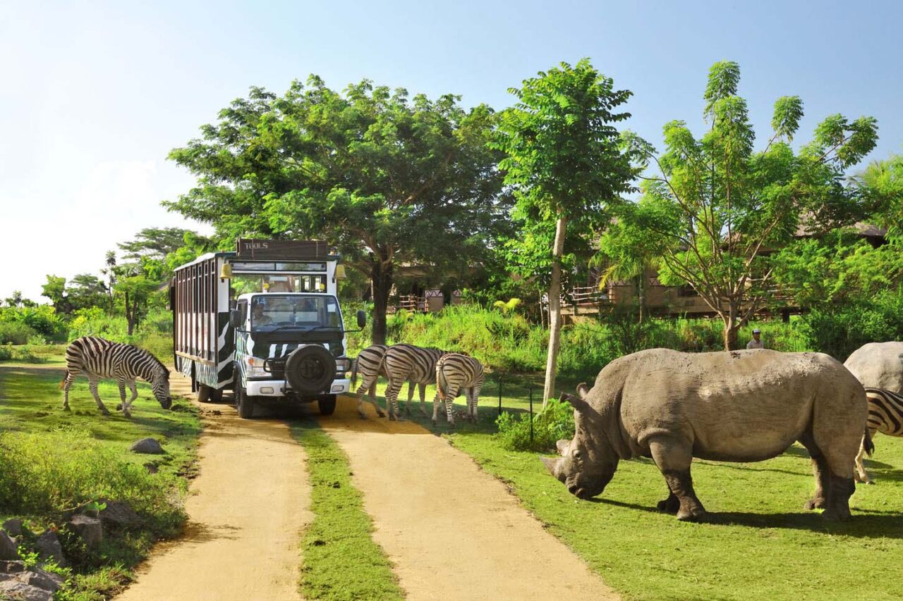 Bali Safari Marine Park1