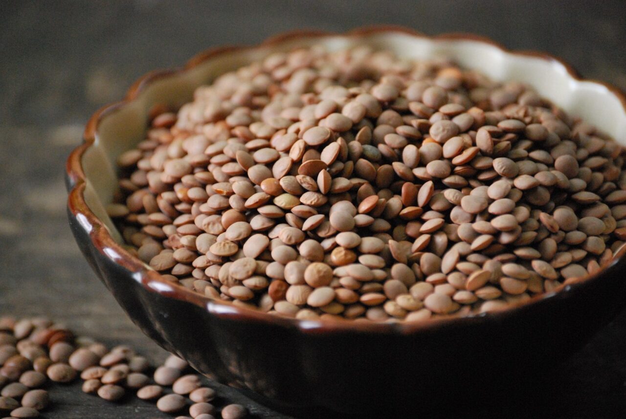 lentil