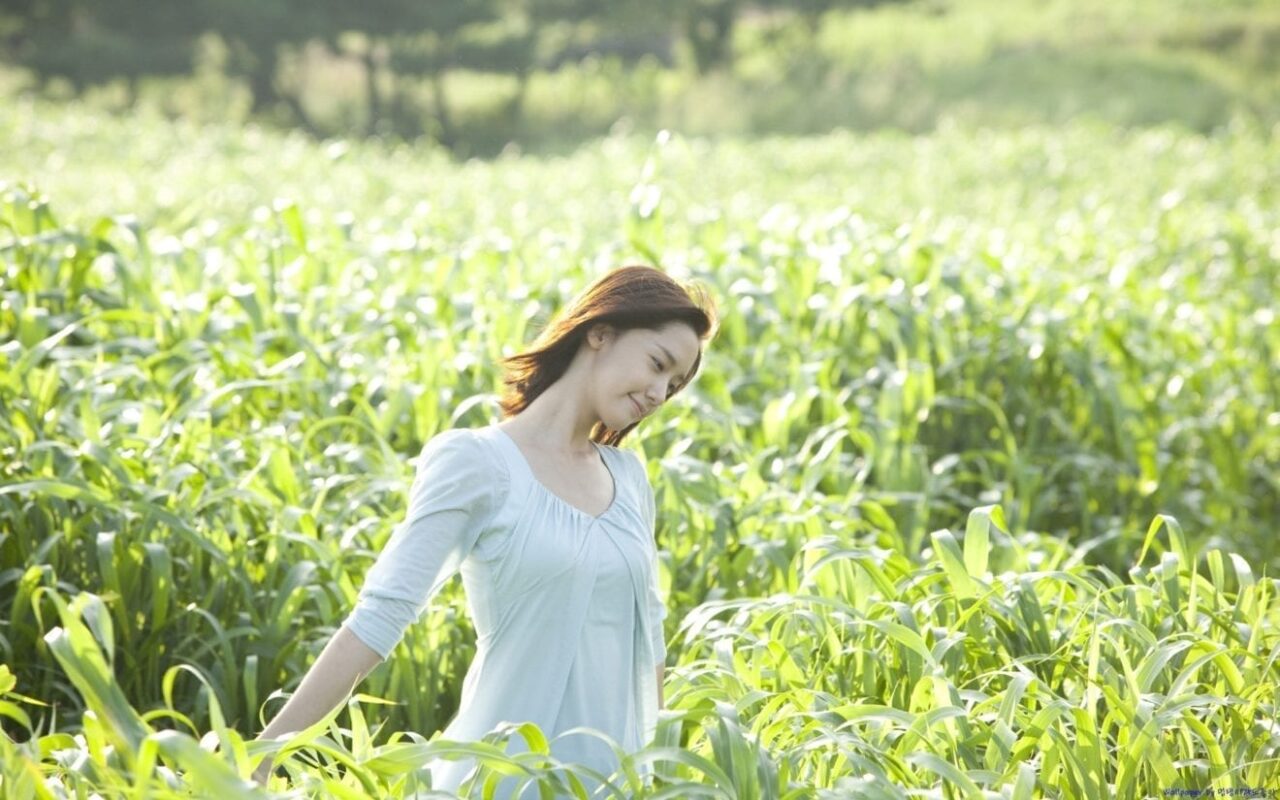 innisfree 15