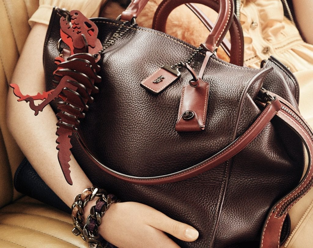 coach-bag-1024x811.jpg