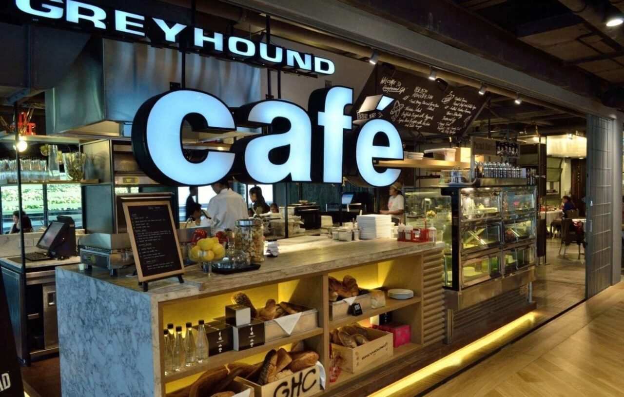 greyhound