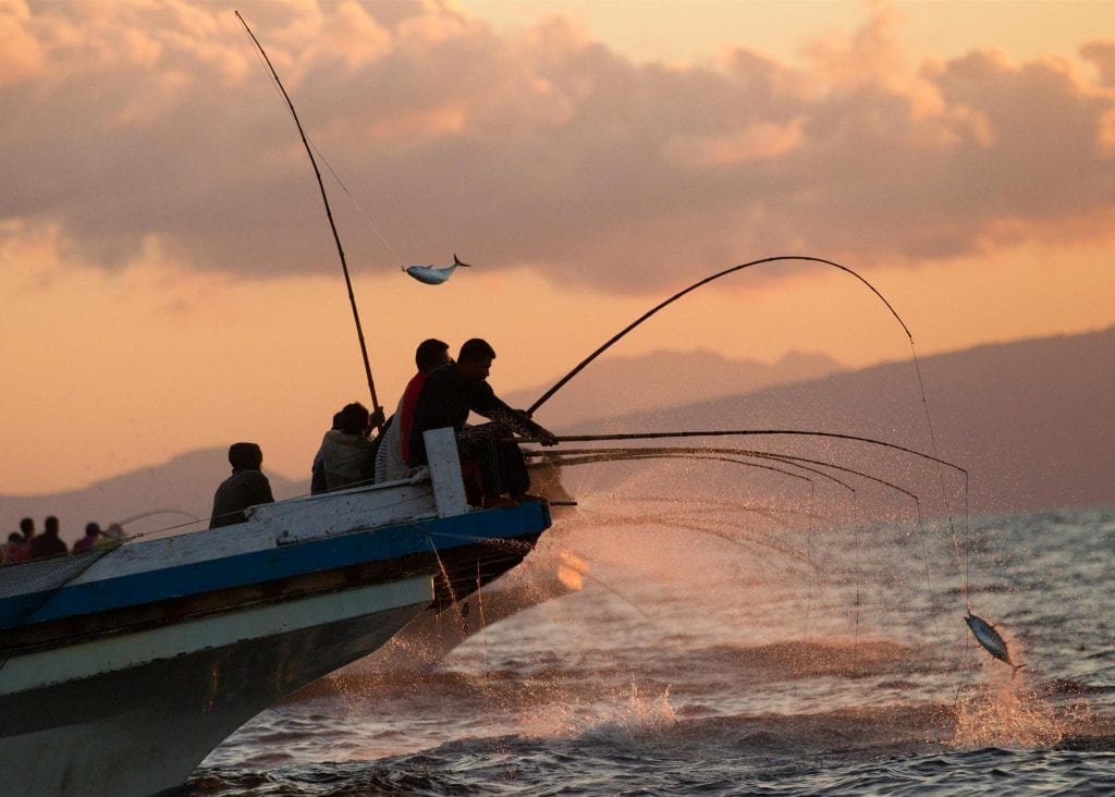 indonesia-fishing-1024x732.jpg
