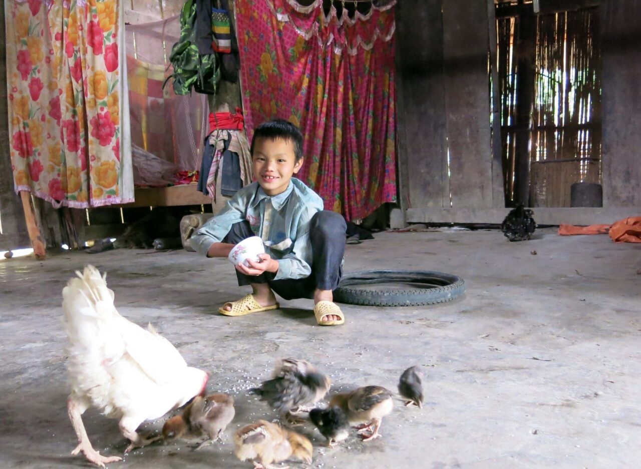 chiken 1