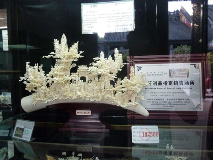 Ivory-on-sale-in-China_2017_01_06.jpg