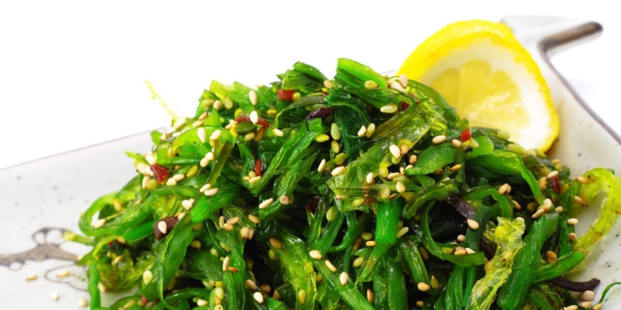 o SEAWEED facebook
