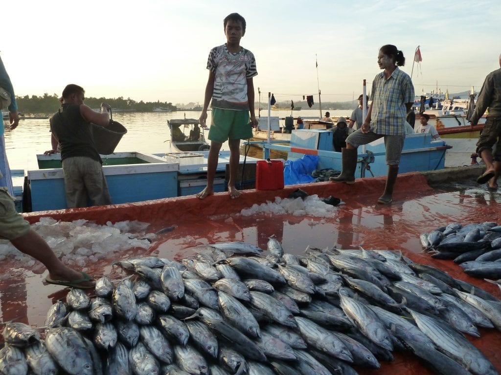 Fishery-Academy-1024x768.jpg