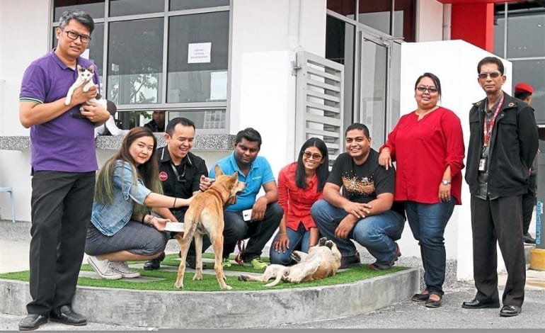 Airasia-Animal-Shelter.jpg