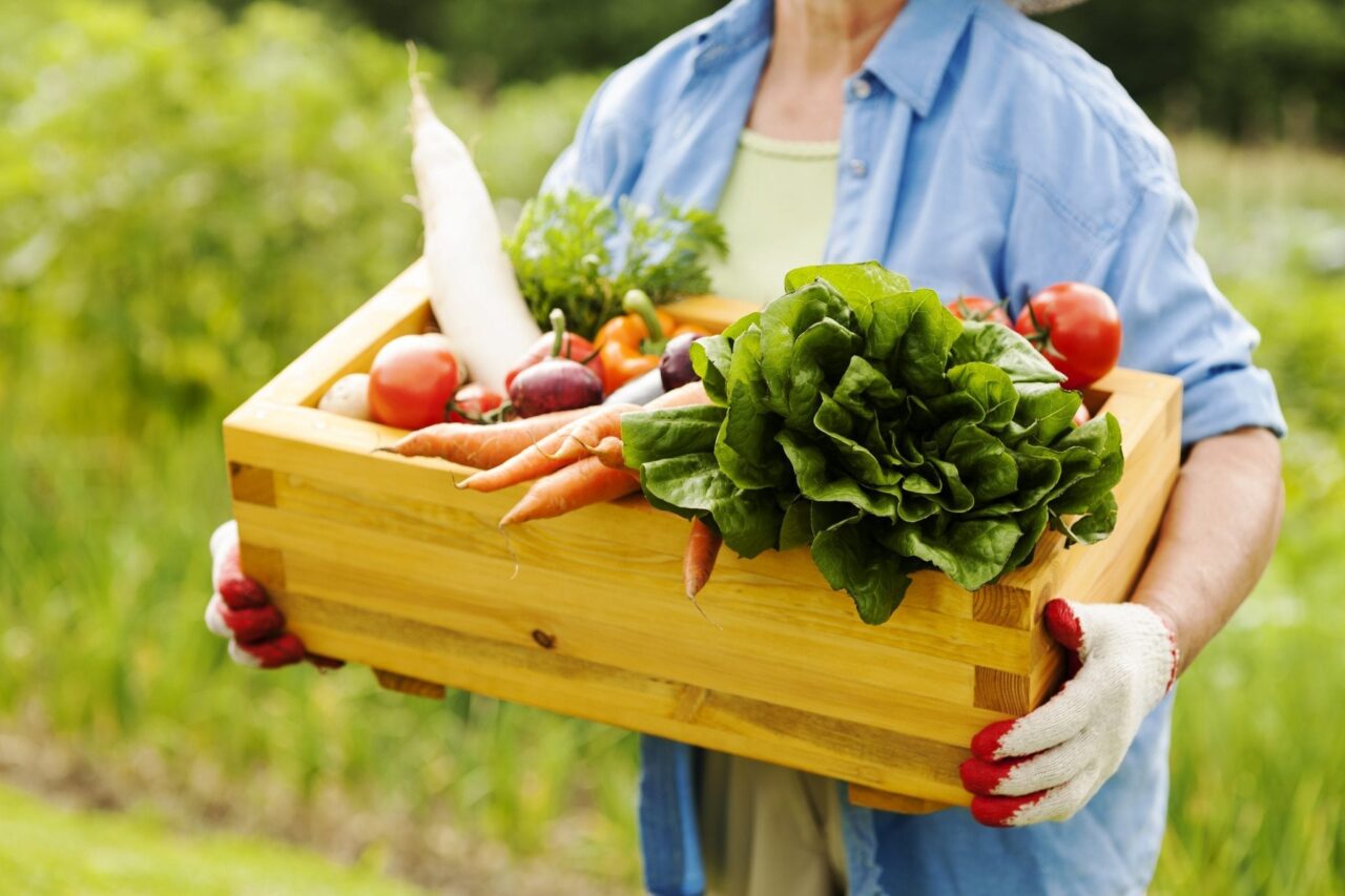 agriculture