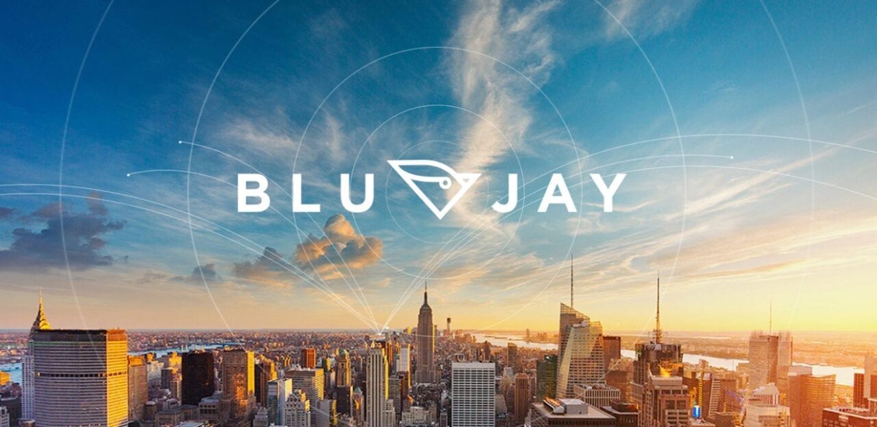 blujay