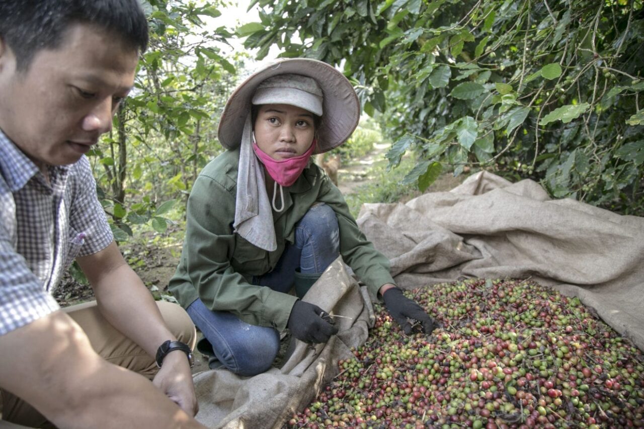 vietnam coffee