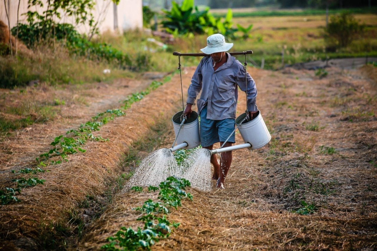 vietnam-agriculture-1280x853.jpeg