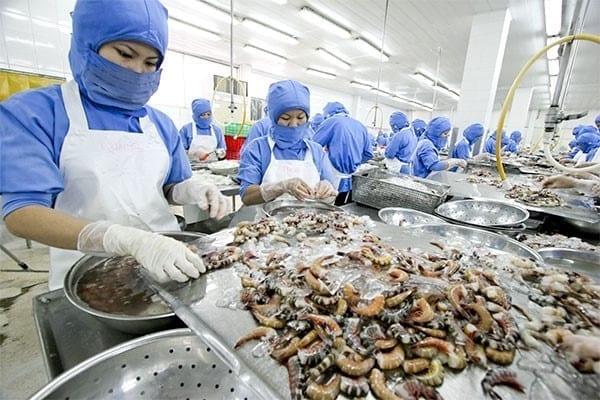 vietnam-seafood-export.jpg