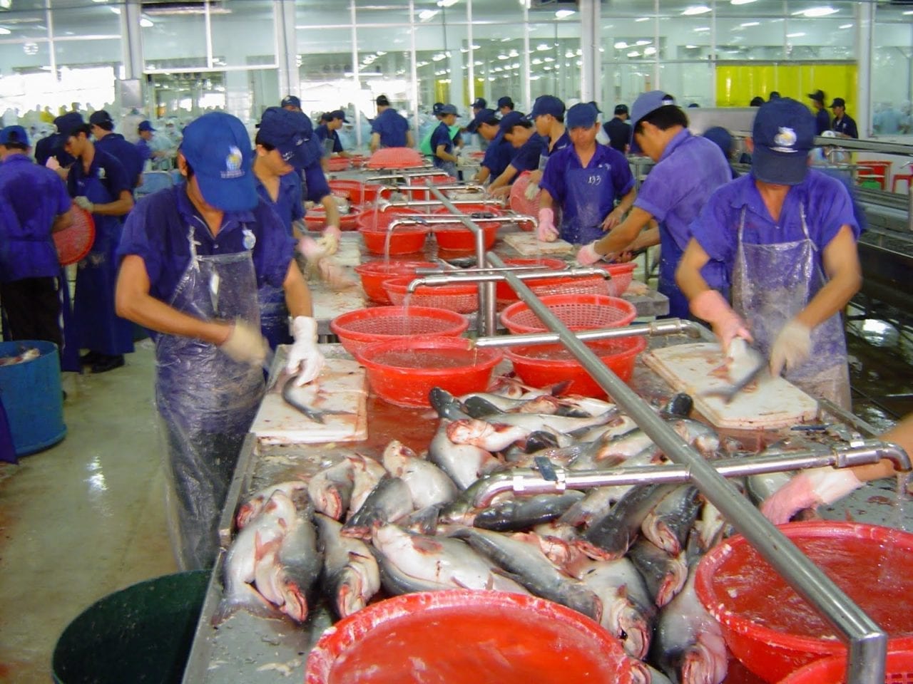 fish-processing-vietnam-1280x960.jpg