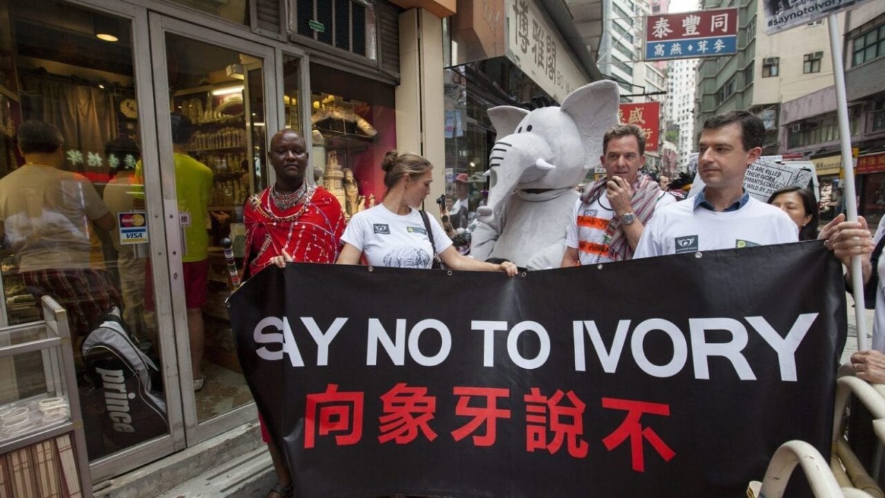 ivory ban