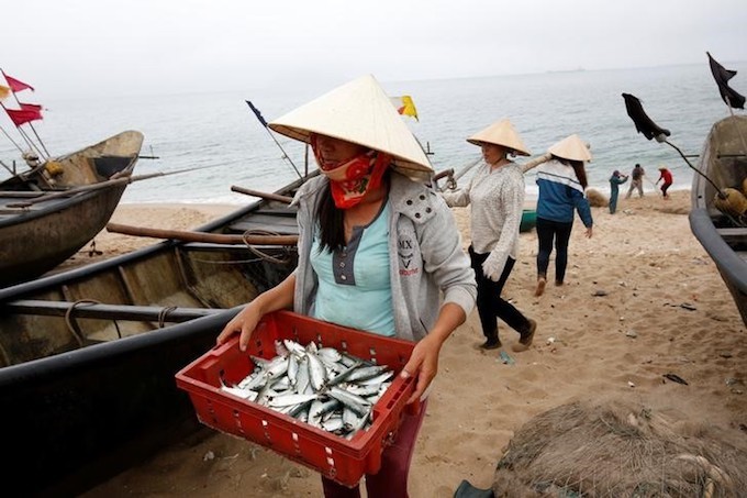 fishery-seafood.jpg