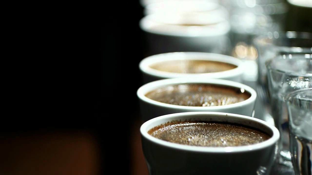 specialty-coffee-1-1280x720.jpg