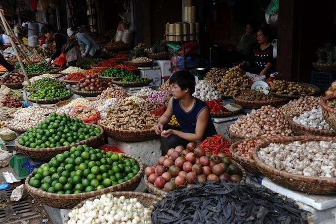 vietnam-agriculture.jpg