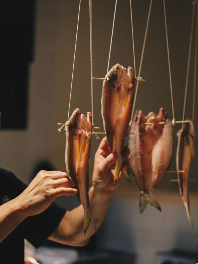 food 3