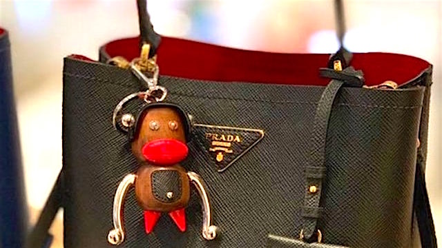 Prada-monkey-from-Chinyere-Ezie-on-FB.jpg