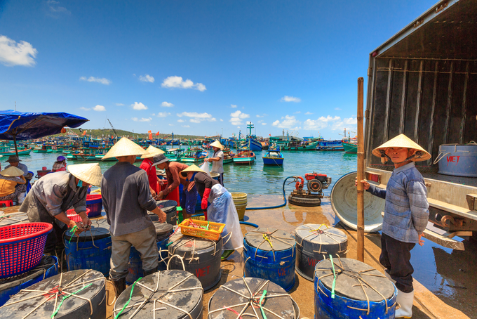 VIETNAM-seafood-export.png