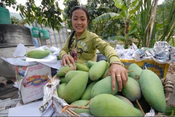 vietnam-agriculture.jpg