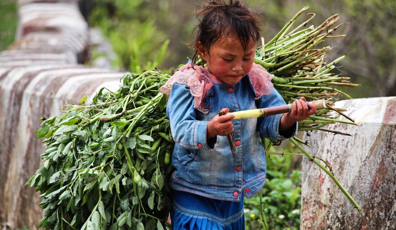 Child Labour