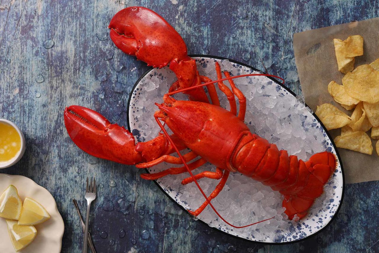 cooked-maine-lobster-1280x853.jpeg