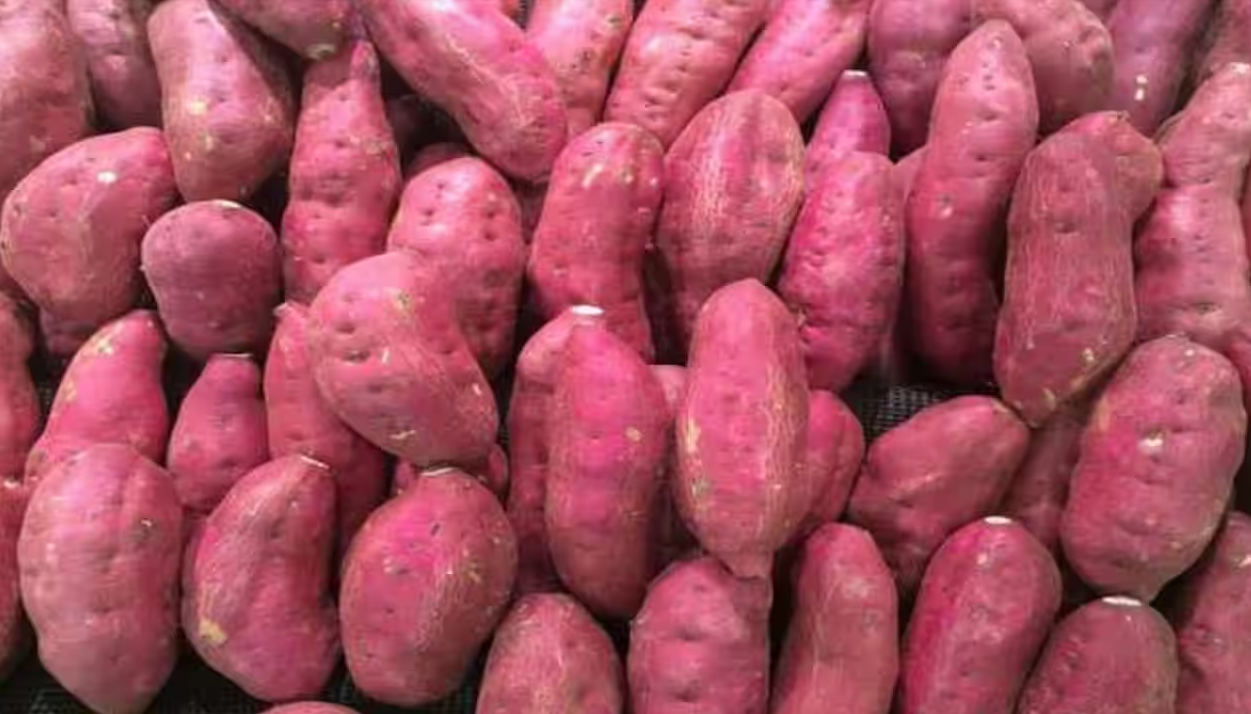 Sweet-potatoes.png